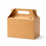 Large Kraft Gable Box